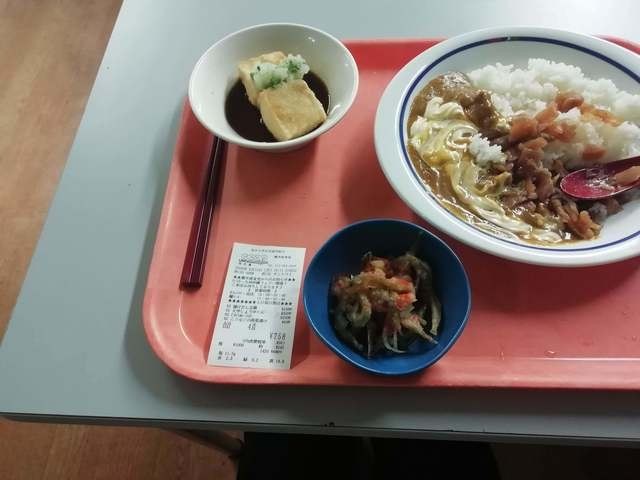 日本真的在流行取消吃饭本来就吃的少的日本人，现在这个不吃饭，是真的不吃，一天三顿缩成两顿，极致的甚至有两天吃一顿的，一名20岁的女大学生嫌学校食堂500日元的午餐太贵，干脆买一个130日元的面包，再到食堂接免费的茶水

2026年10月8日，日本媒体披露的一组大学生生活细节，让不少人看完心里不是滋味