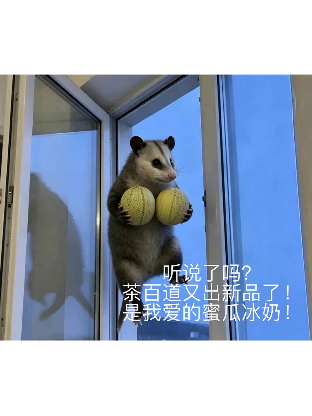 当我得知茶百道蜜瓜冰奶上新了我就这样。。。
