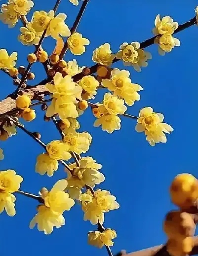 什么叫人情世故
 
很多人以为人情世故就是圆滑客套，会说话会讨好。其实不是，真正