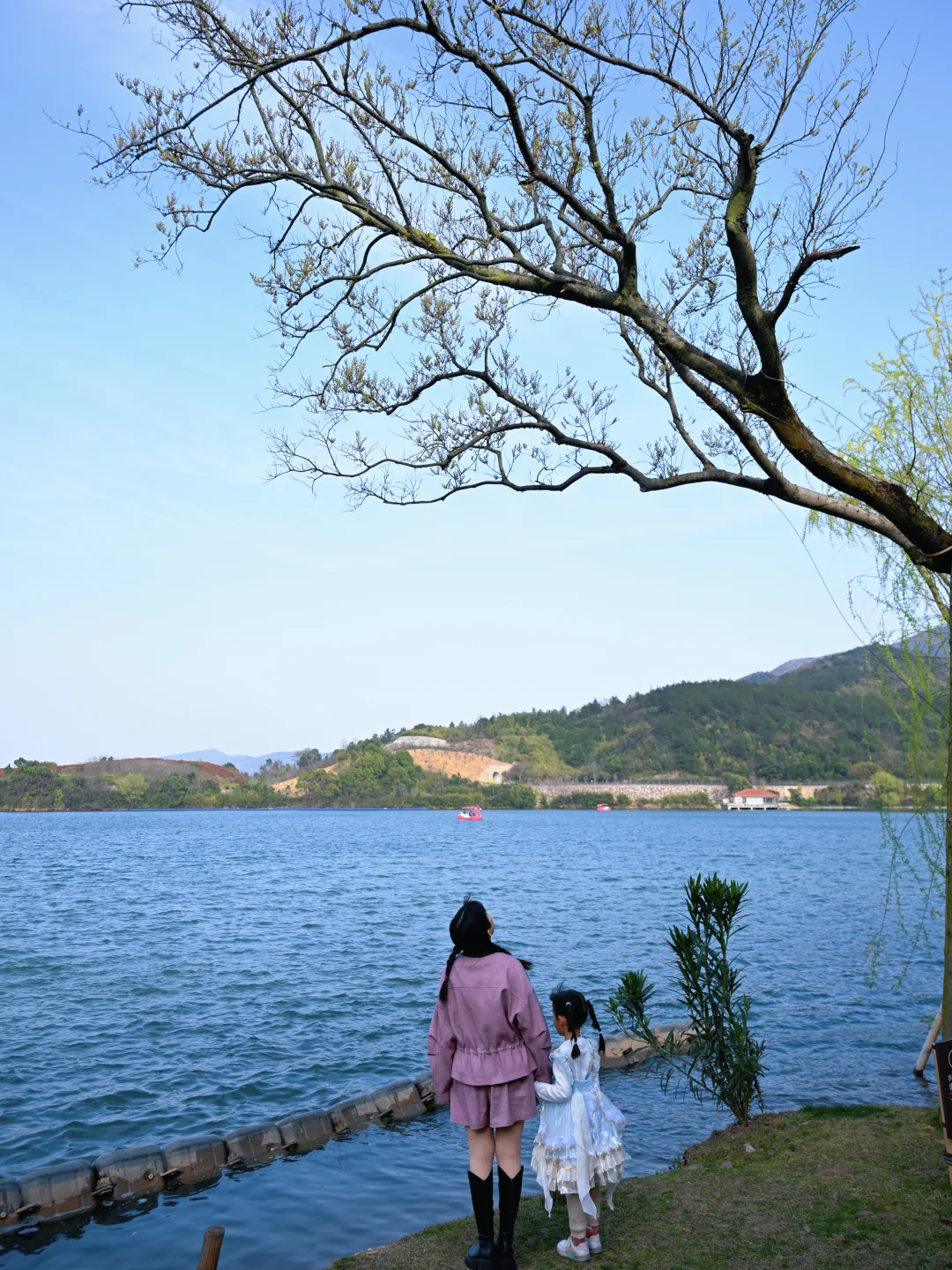 不在大理，在宜兴