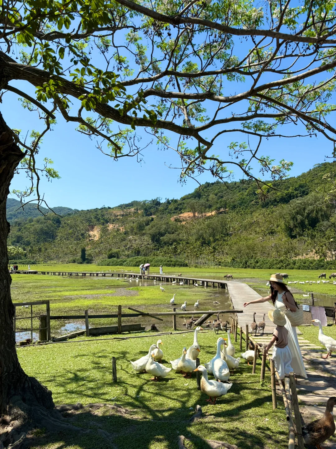 万宁刚回‼️全是干货‼️4天3晚吃住行攻略🏖️