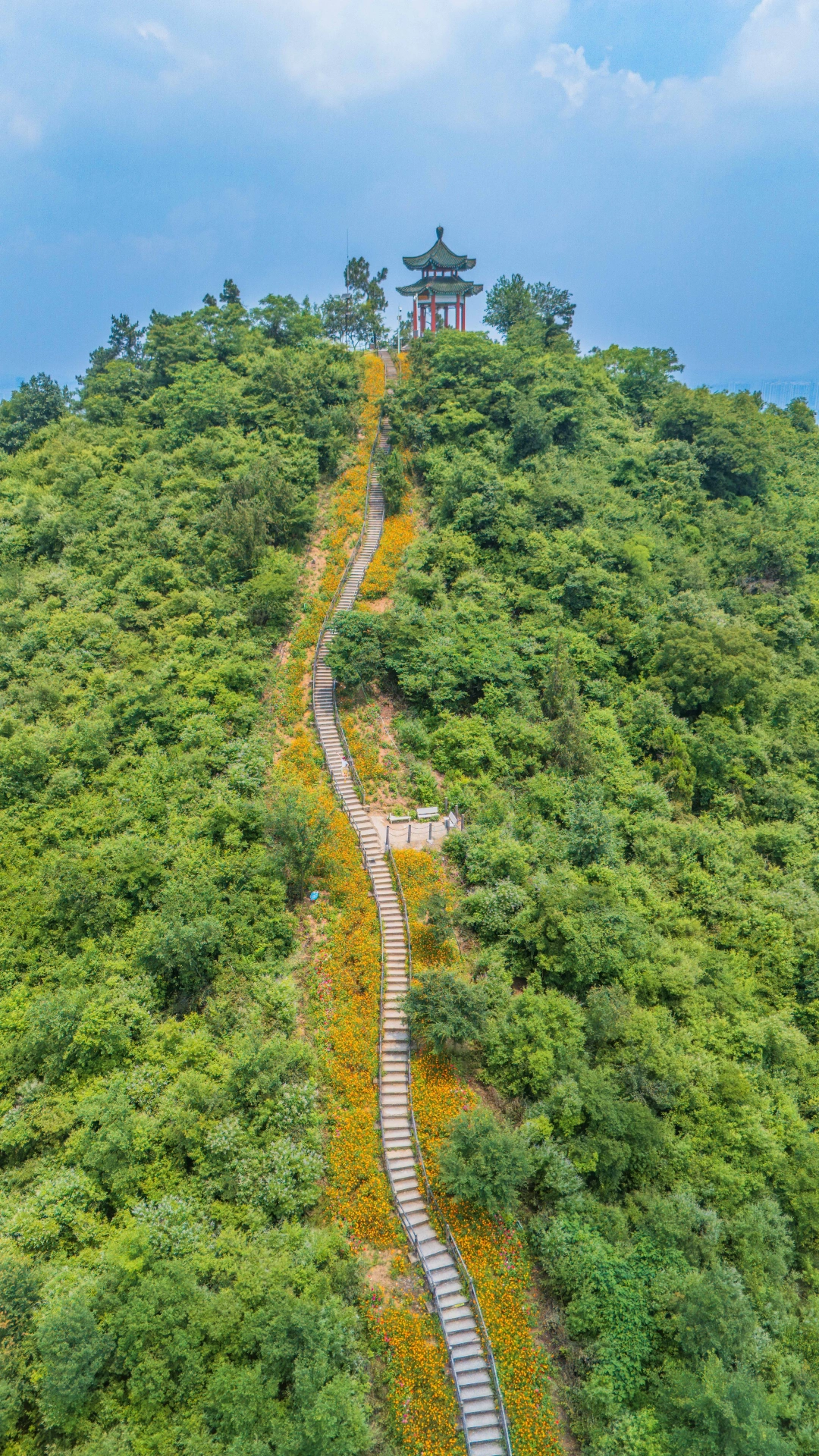🚗武汉1h｜我登上了花海小天梯‼️附徒步攻略