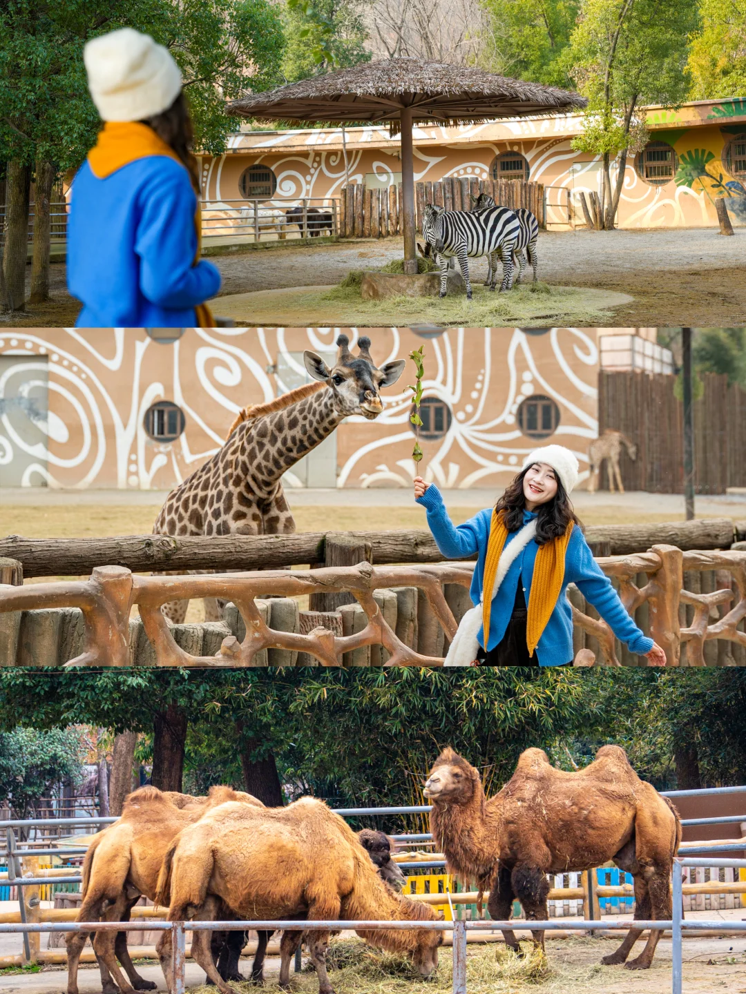 武汉小众动物王国❗️去了想说一些大实话❗️