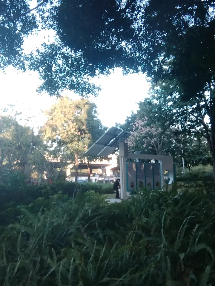 广州的秋天，宛如一个调皮的孩童，总是迟迟不来。 11月小雪节气前后，随...