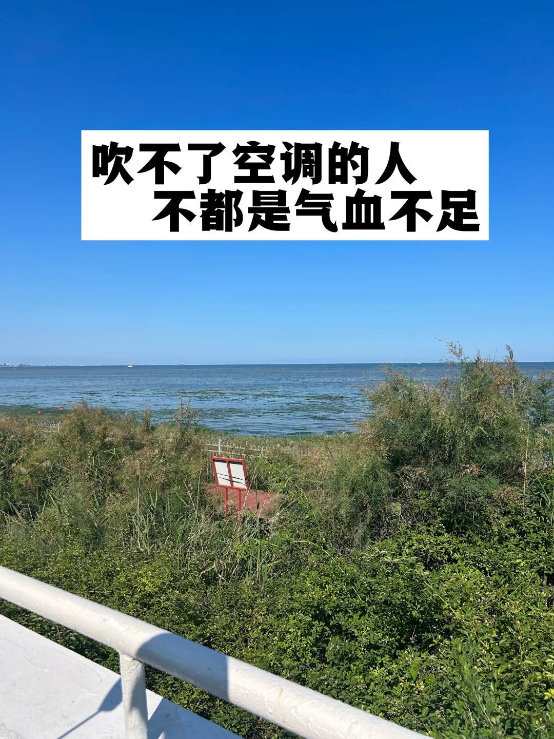 吹不了空调的人，不都是气血不足！