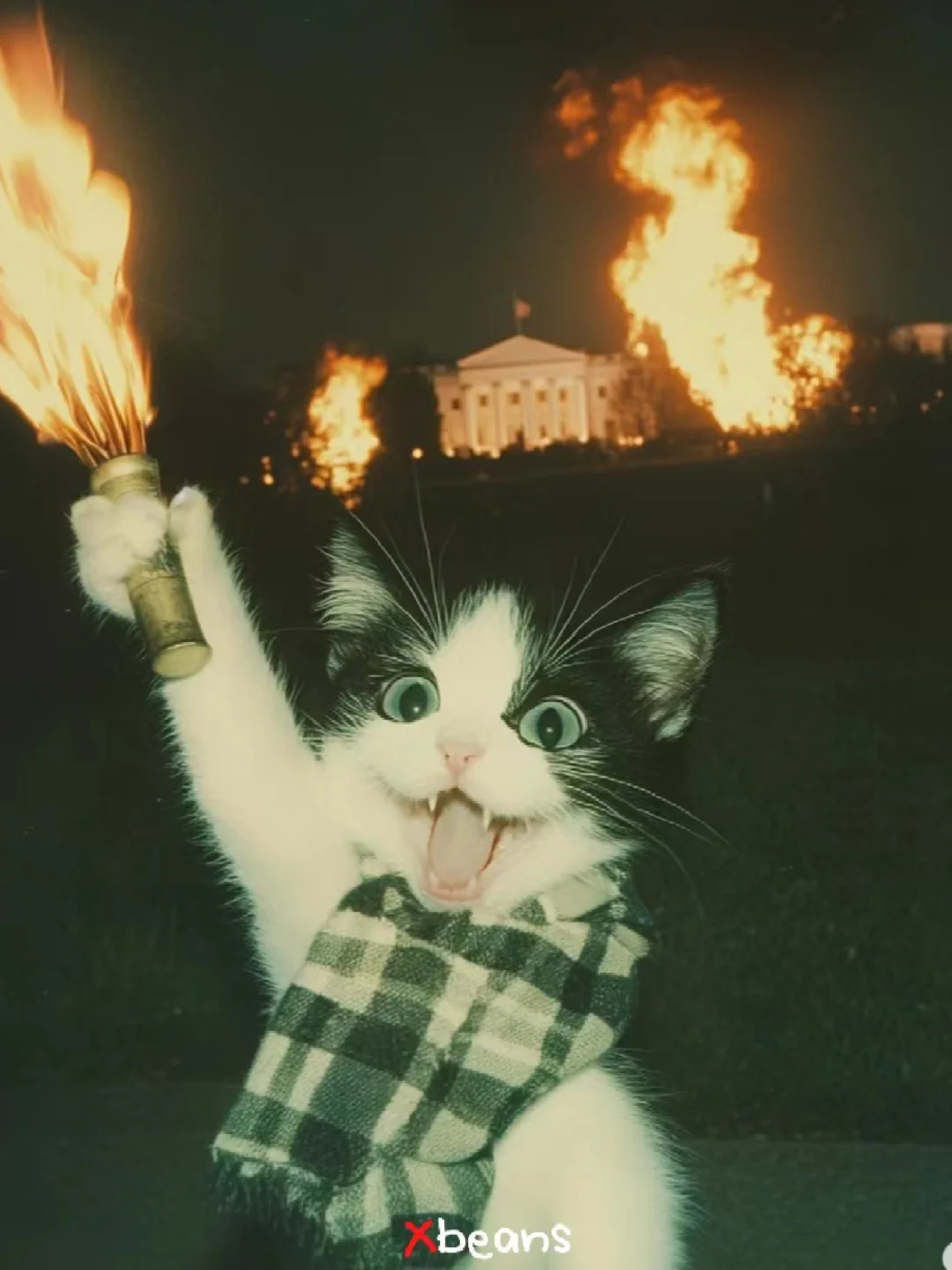 向上管理的秘诀就是「不要管理」