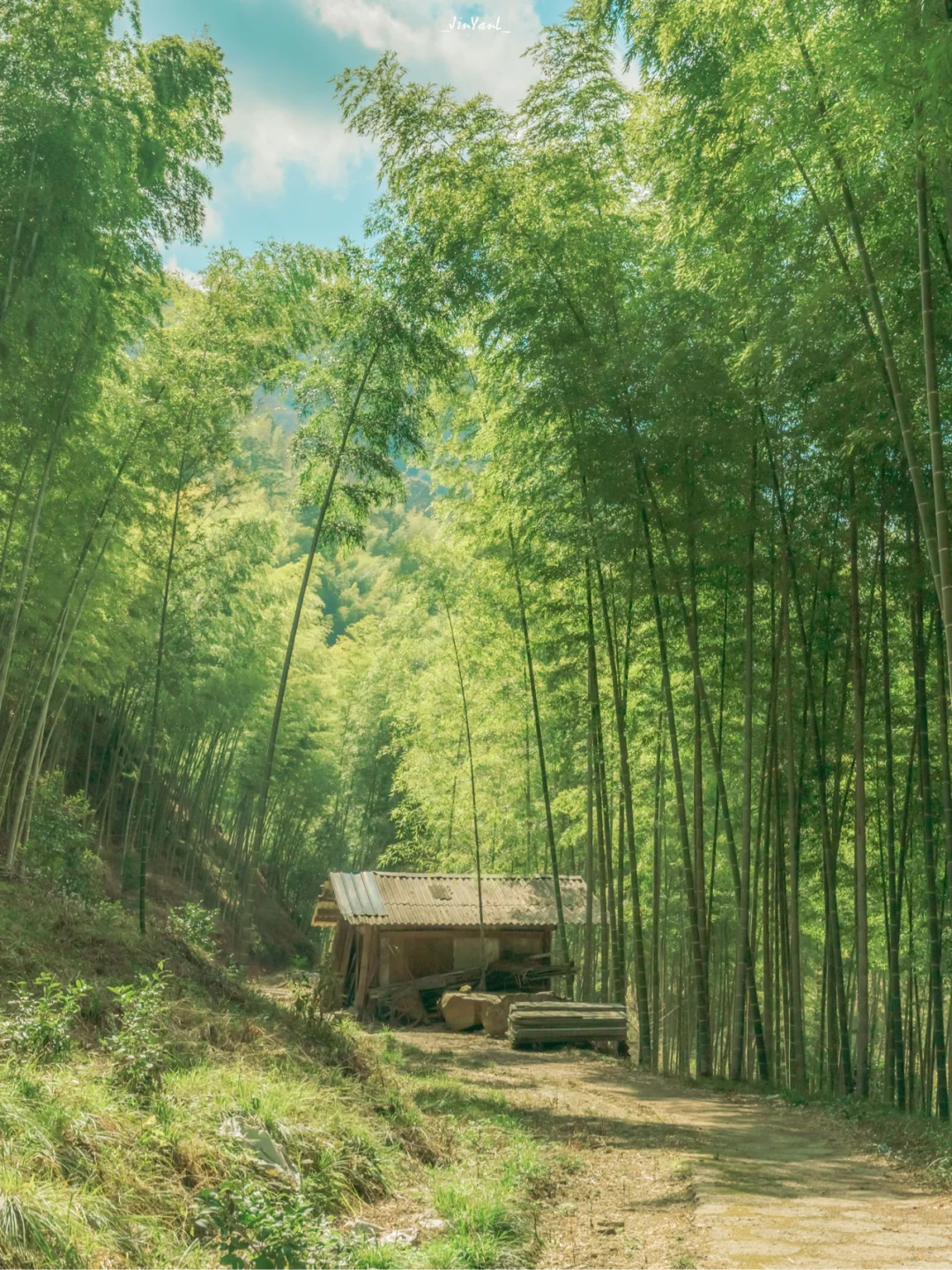 夏日龙栖山｜夏天就该在山里避暑望天吹山风