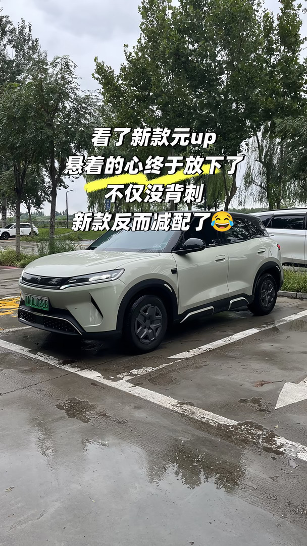 看了新款元up，悬着的心终于放下了