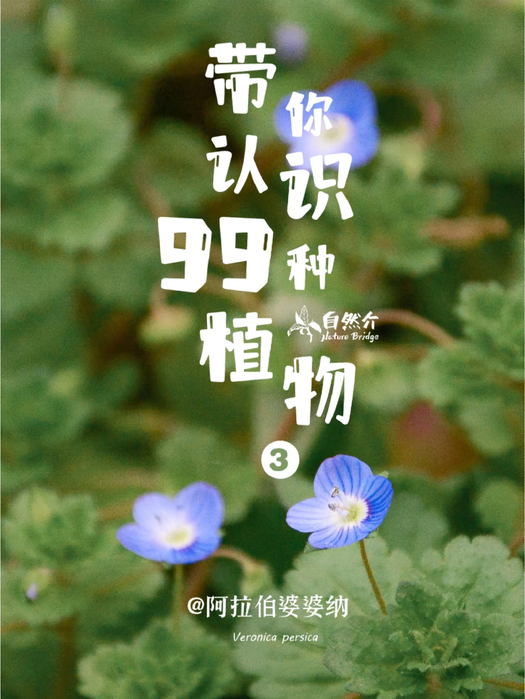 带孩子认识99种植物