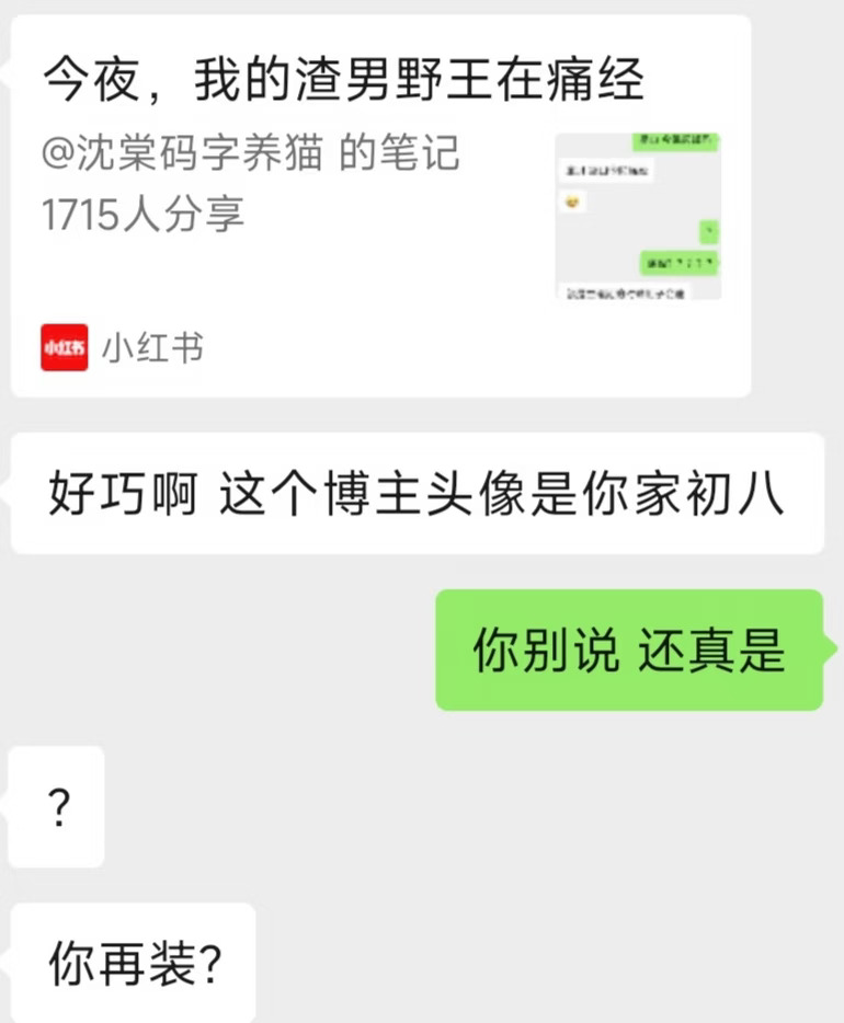 我那痛经的渣男野王就这样打上门来
