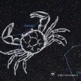 《巨蟹座_百度百科》巨蟹座（拉丁语：Cancer，天文符号♋），是黄道星座之一，面积506平方度，约占天球面积的1.2%。每年1月29日子夜，巨蟹座中心经过上中天。 ​