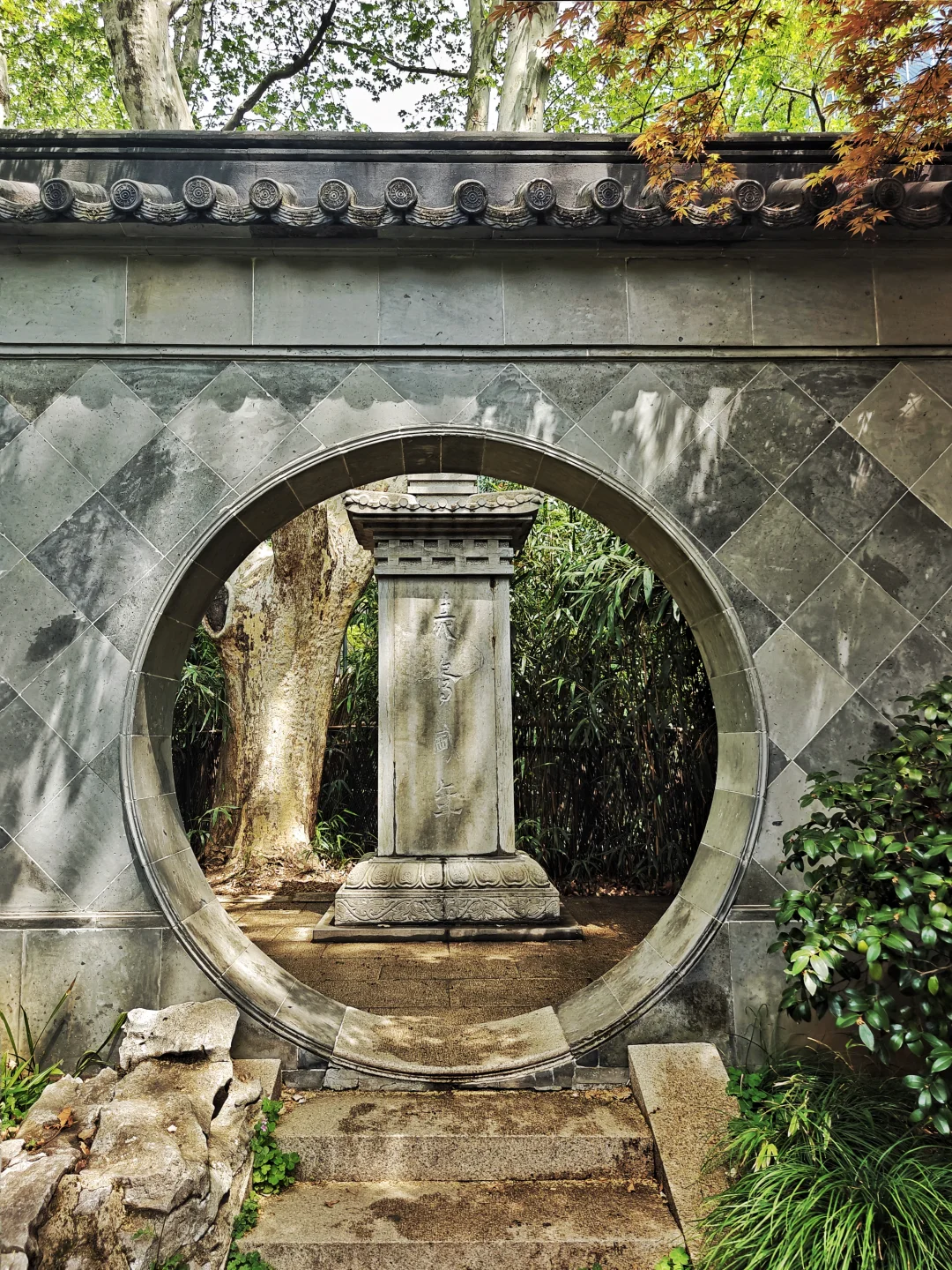 园林控集合！静安寺旁的隐秘宝藏园子免费啦