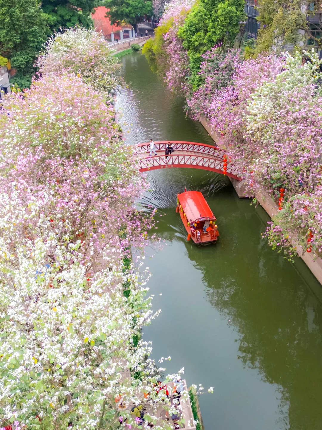 3月花开满城🌸广州春日浪漫citywalk地图