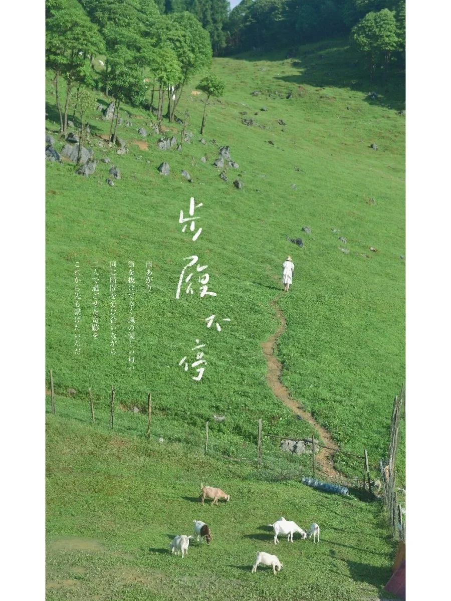 2021回顾/我拍到最喜欢的9张爆款封面❗️