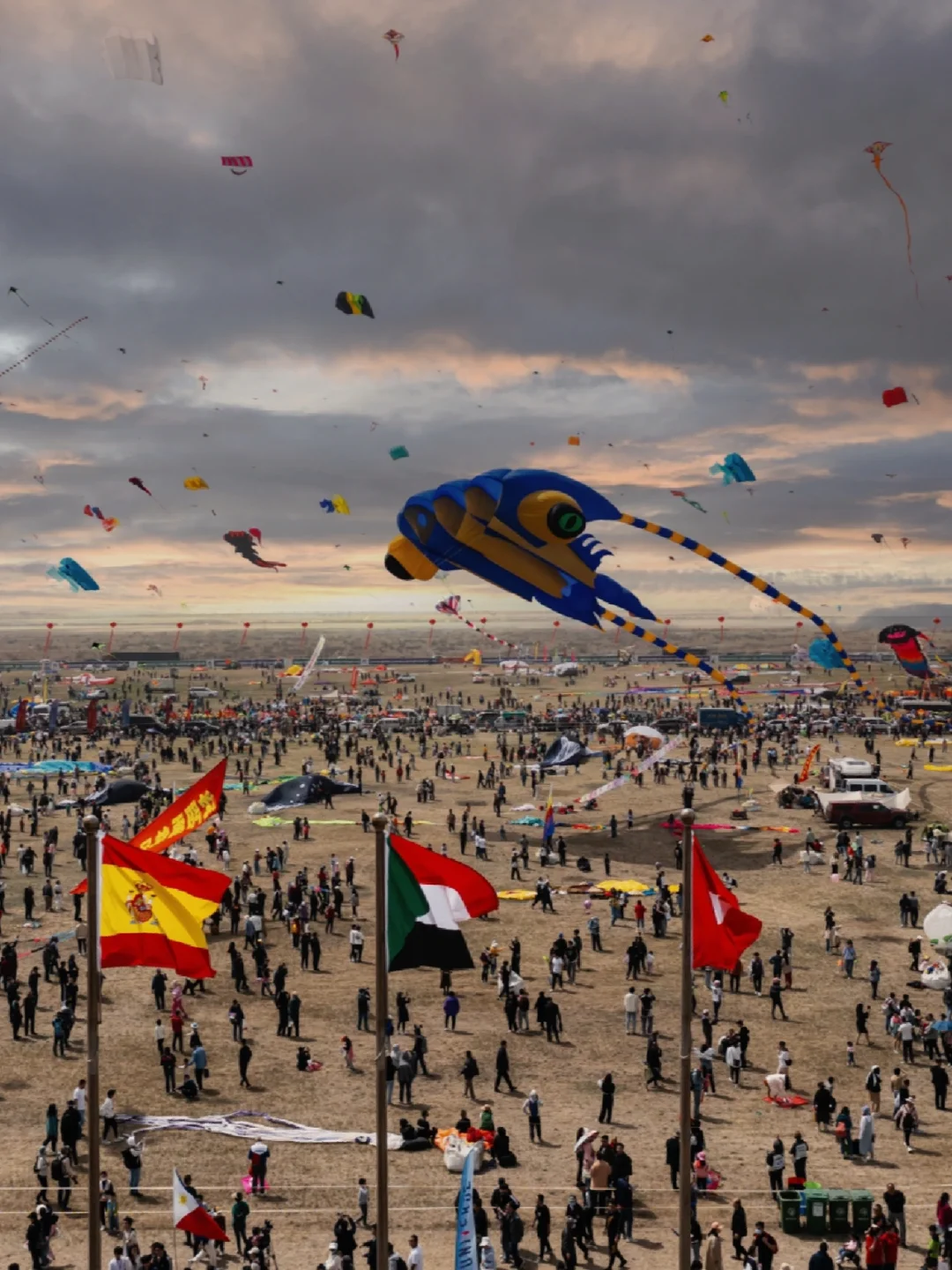 第一次参加潍坊风筝节，震惊了‼️⁉️
