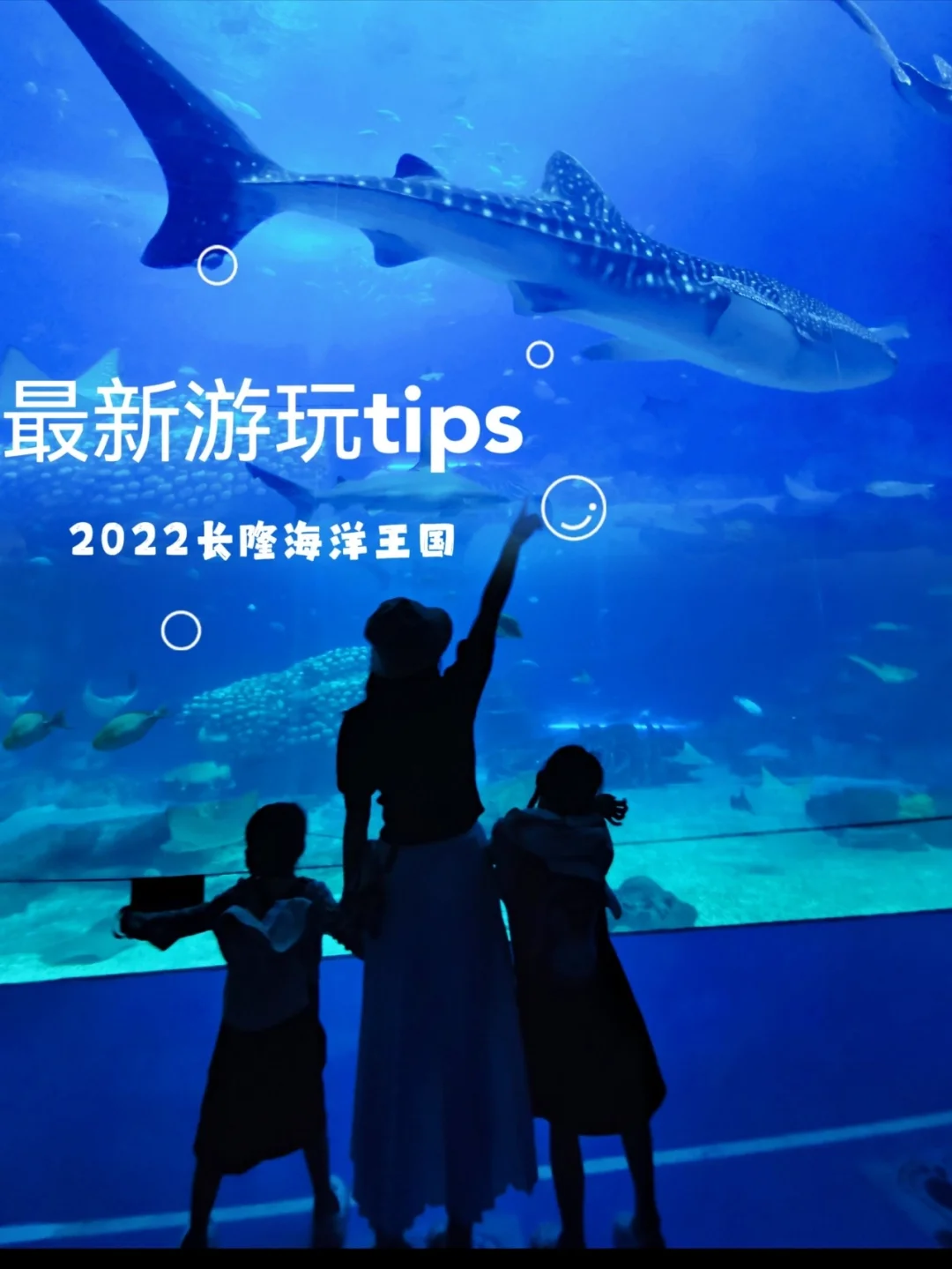 答应我❗一定要带娃去一次海洋王国❗超治愈