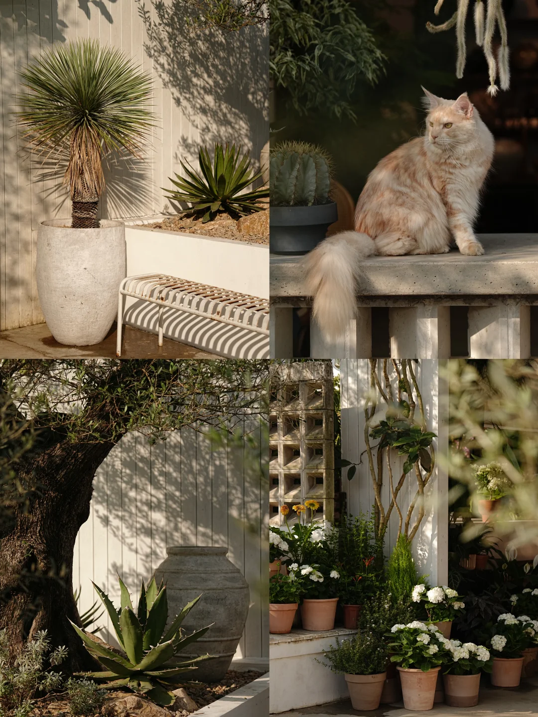 在自由生长的状态里 每天治愈自己一百遍