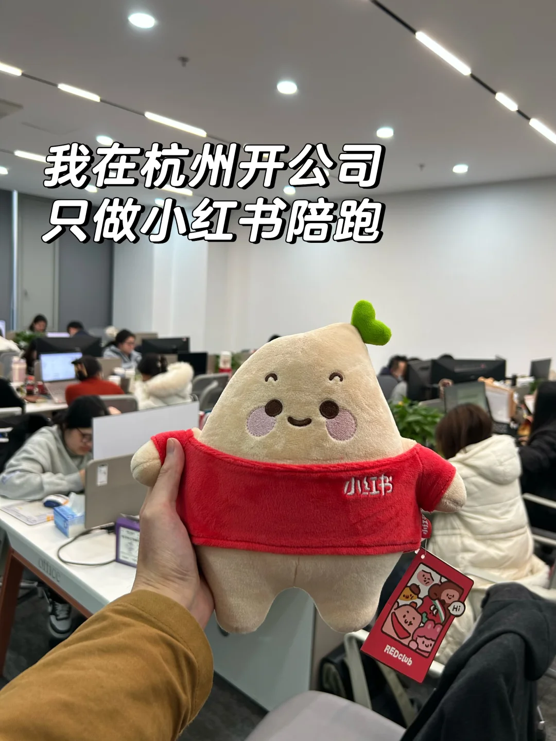 97年开公司，在杭州专做企业陪跑业务