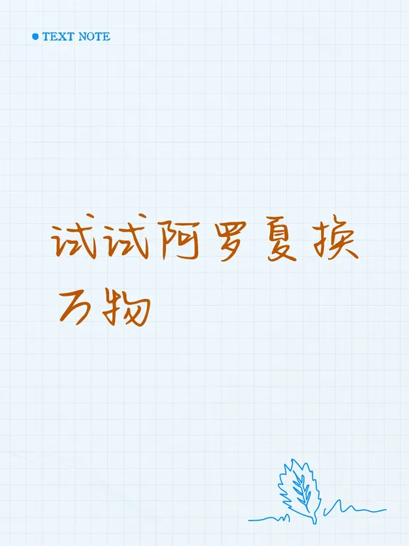 阿罗夏换物