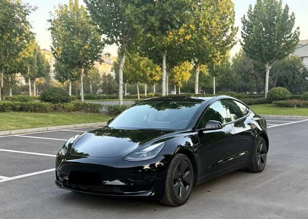 21款特斯拉Model 3 全款:9.4🌈🌈🌈