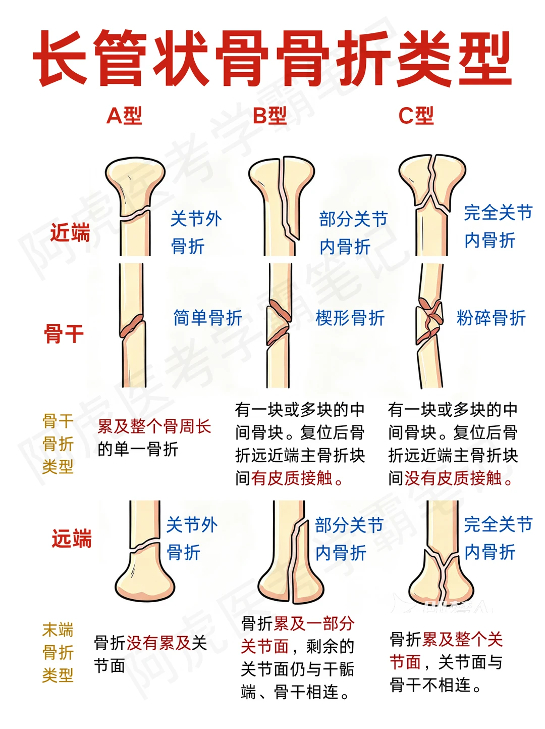 医学生笔记📒｜骨折不同阶段养护重点📌
