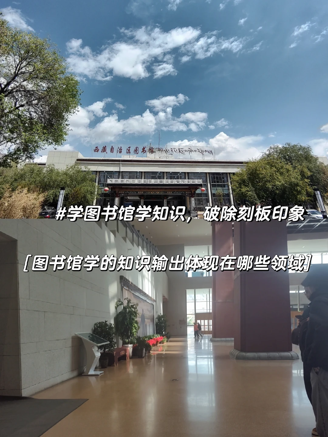 图书馆学的知识输出体现哪些领域