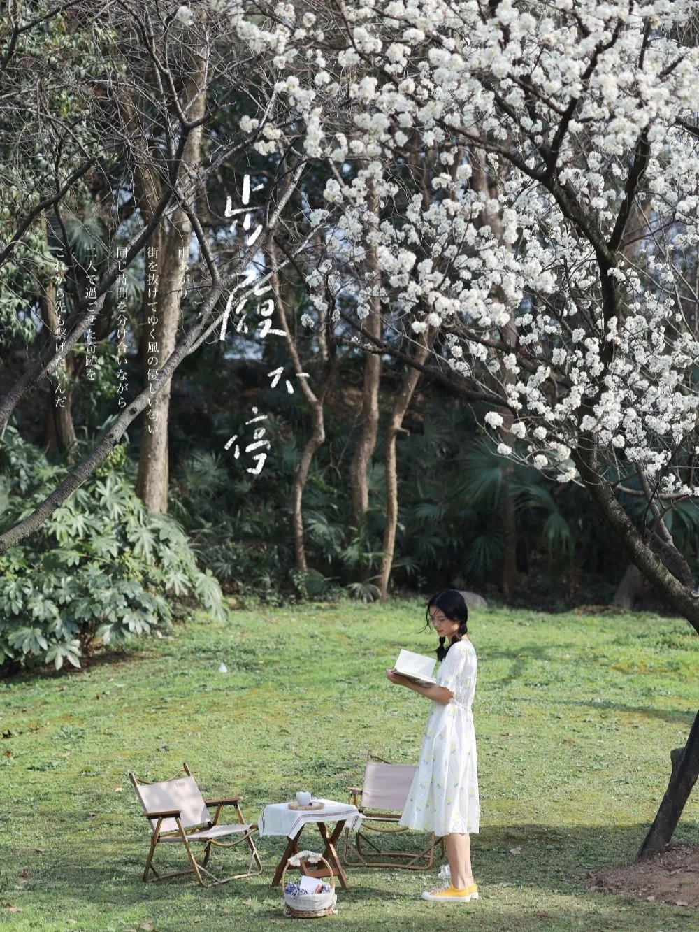 快冲！武汉最浪漫的樱花树，树下野餐绝了❗