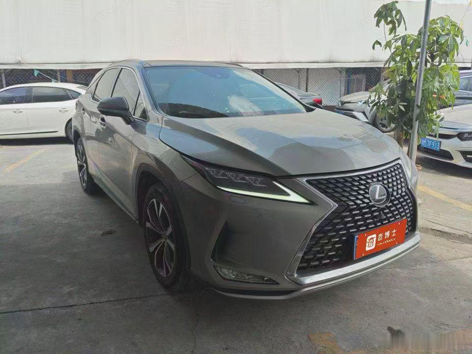 拿下 
2021年RX300四驱典雅版，一手车[玫瑰] ​