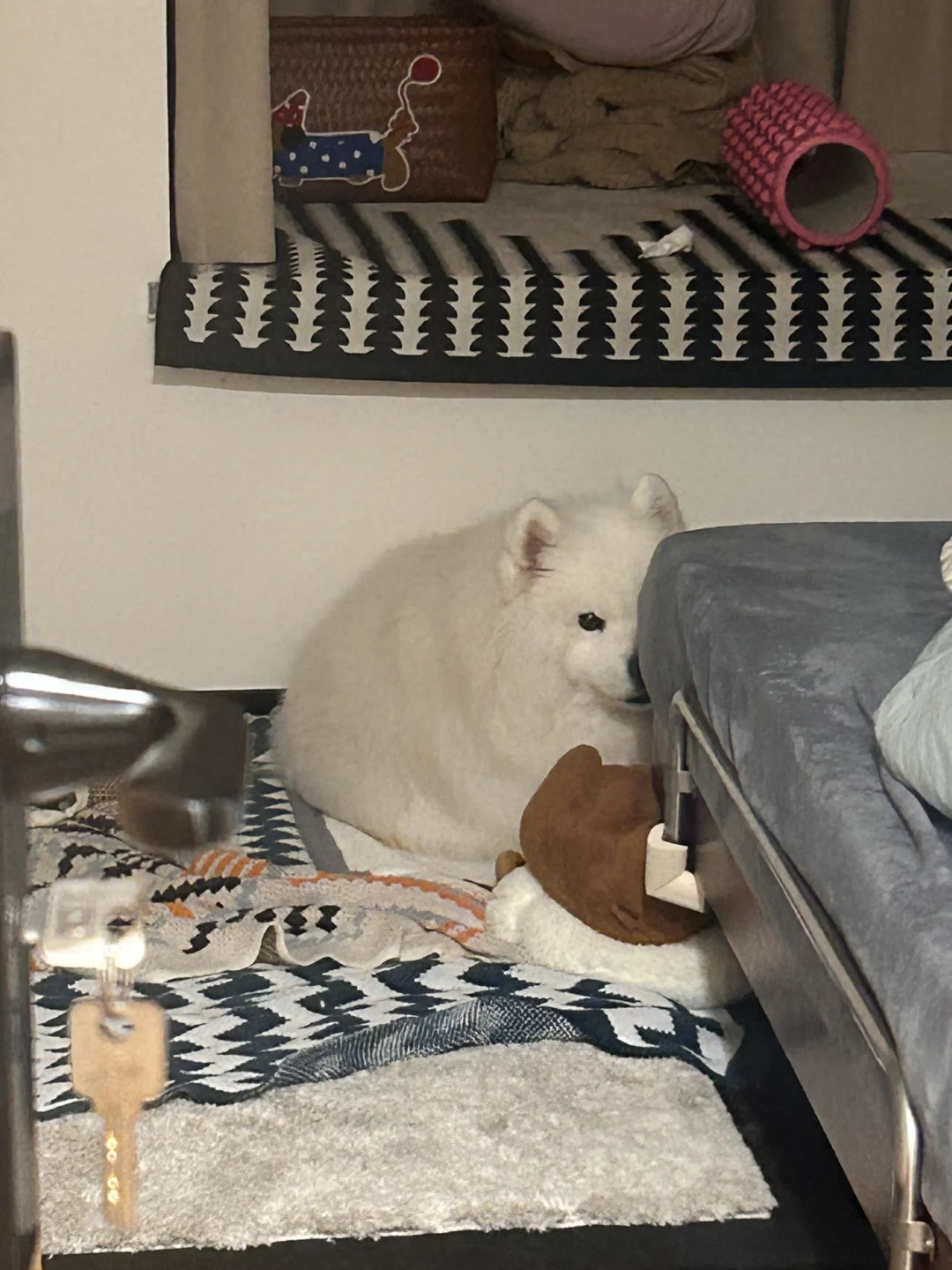 我只眼神给出去