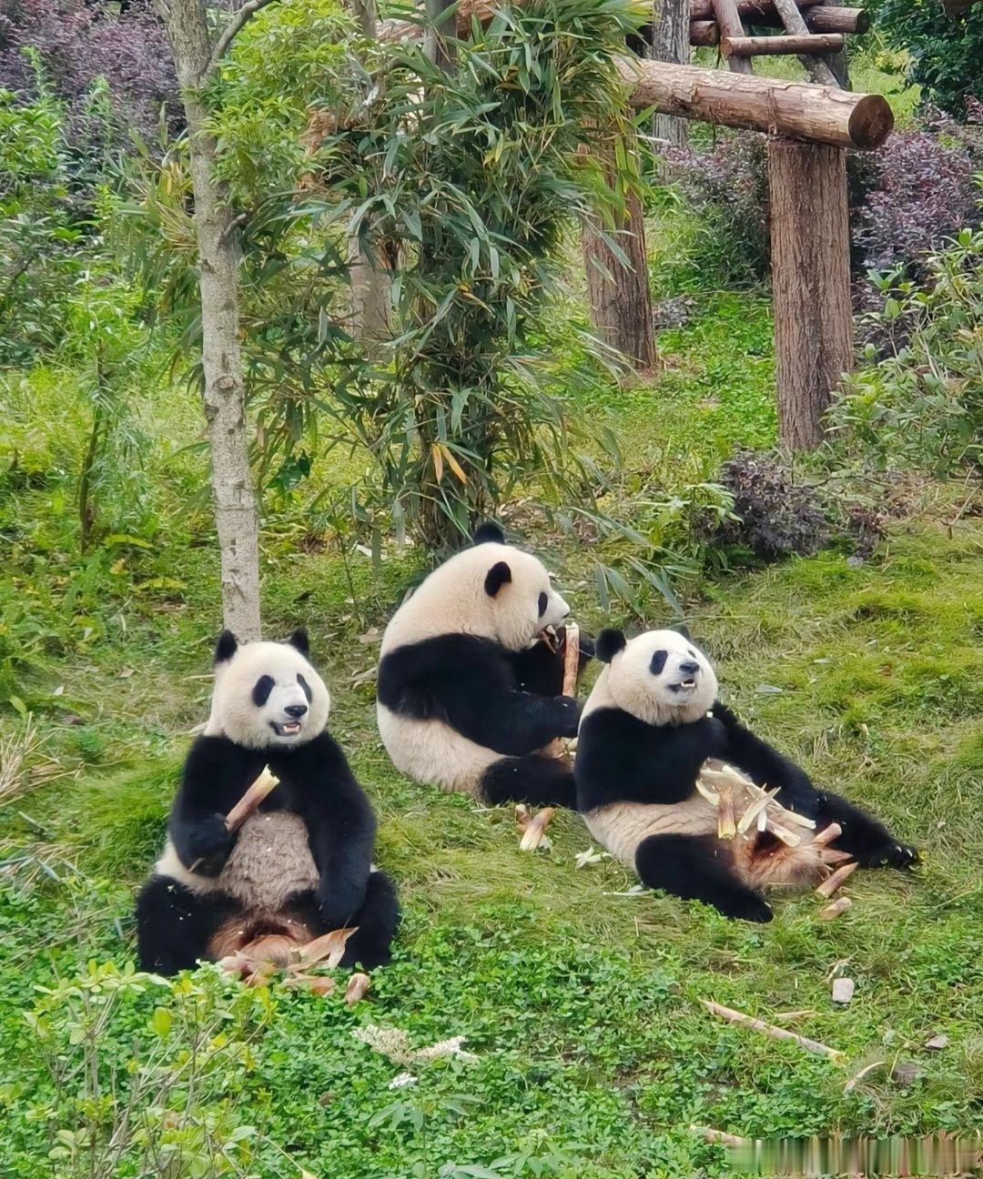 [超话] 生活中，值得珍惜的人很多，懂得珍惜的人也不少。有些人，因为不...
