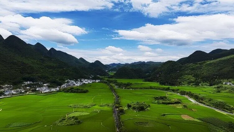 为什么越来越多人跑去贵州旅居？看完你就懂了
走遍大江南北，终于发现：贵州，才是普通人最适合长期旅居的宝藏省份之一。
现在很多人旅居首选不再是网红城市，而是低调的贵州。
原因真的太真实了！
第一：全国最舒服的夏天，天然空调城。
别的城市三伏天高温暴晒、离不开空调，
贵州夏天平均气温只有22℃–26℃