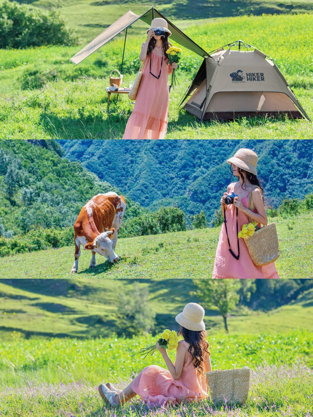 这个免费露营地绝了|拍出了阿勒泰氛围感