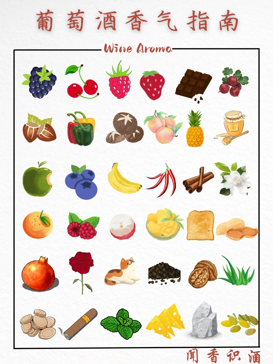 一图秒懂葡萄酒香气📚 | 葡萄酒香气指南