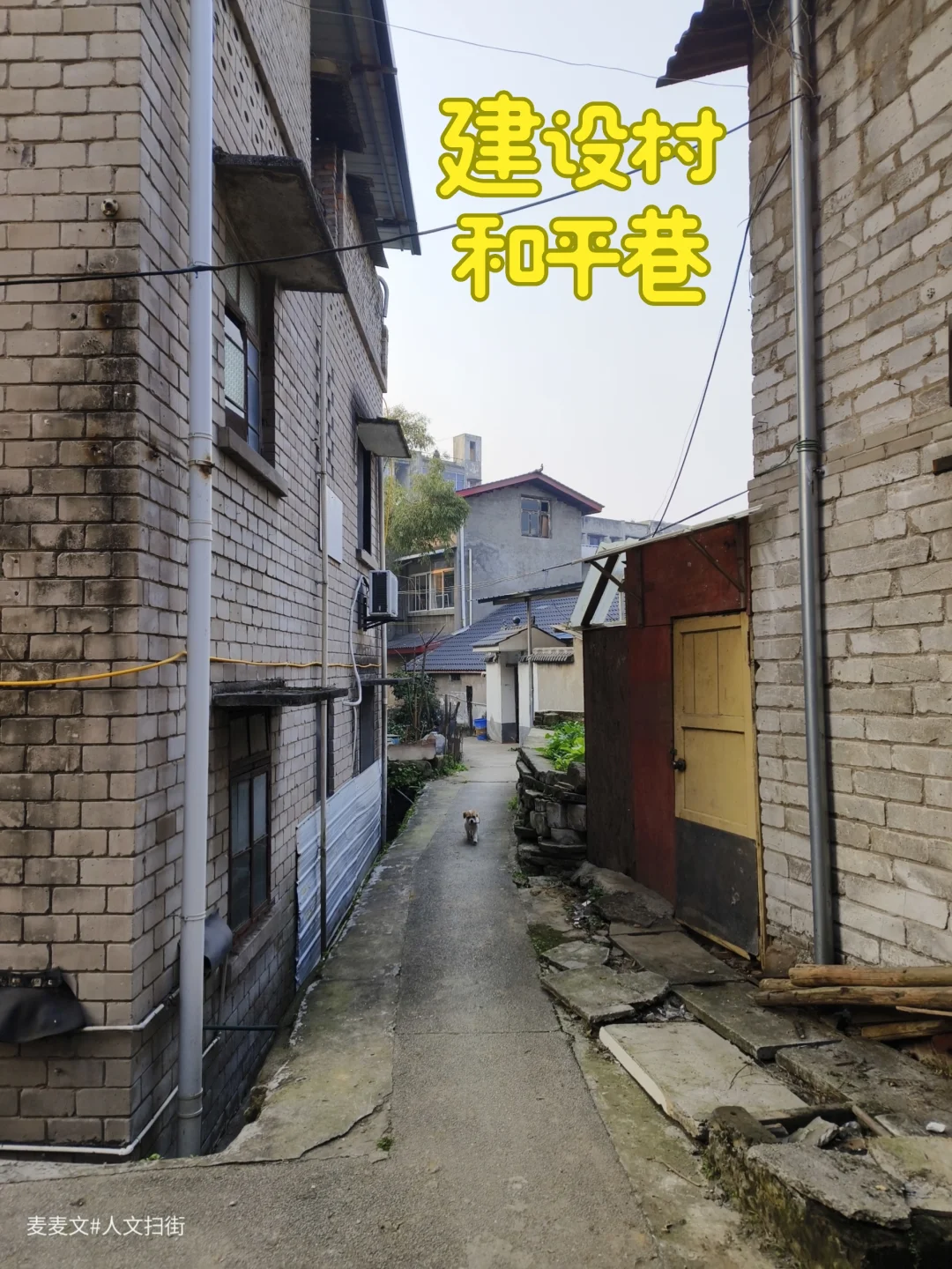 【九龙坡】建设村罐头厂家属区/冬笋坝遗址