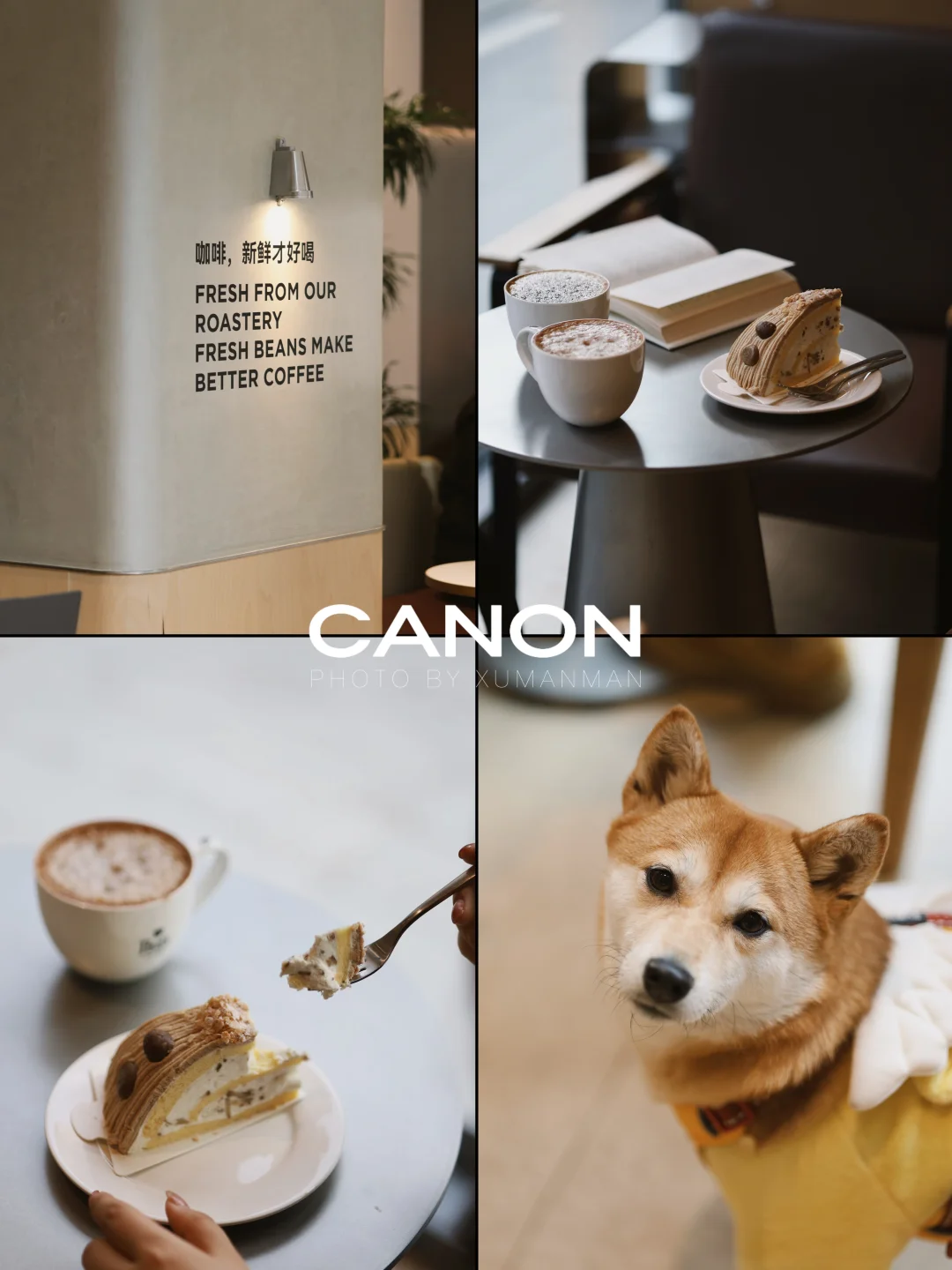 Canon📷｜“把下午茶拍出电影感☕️”
