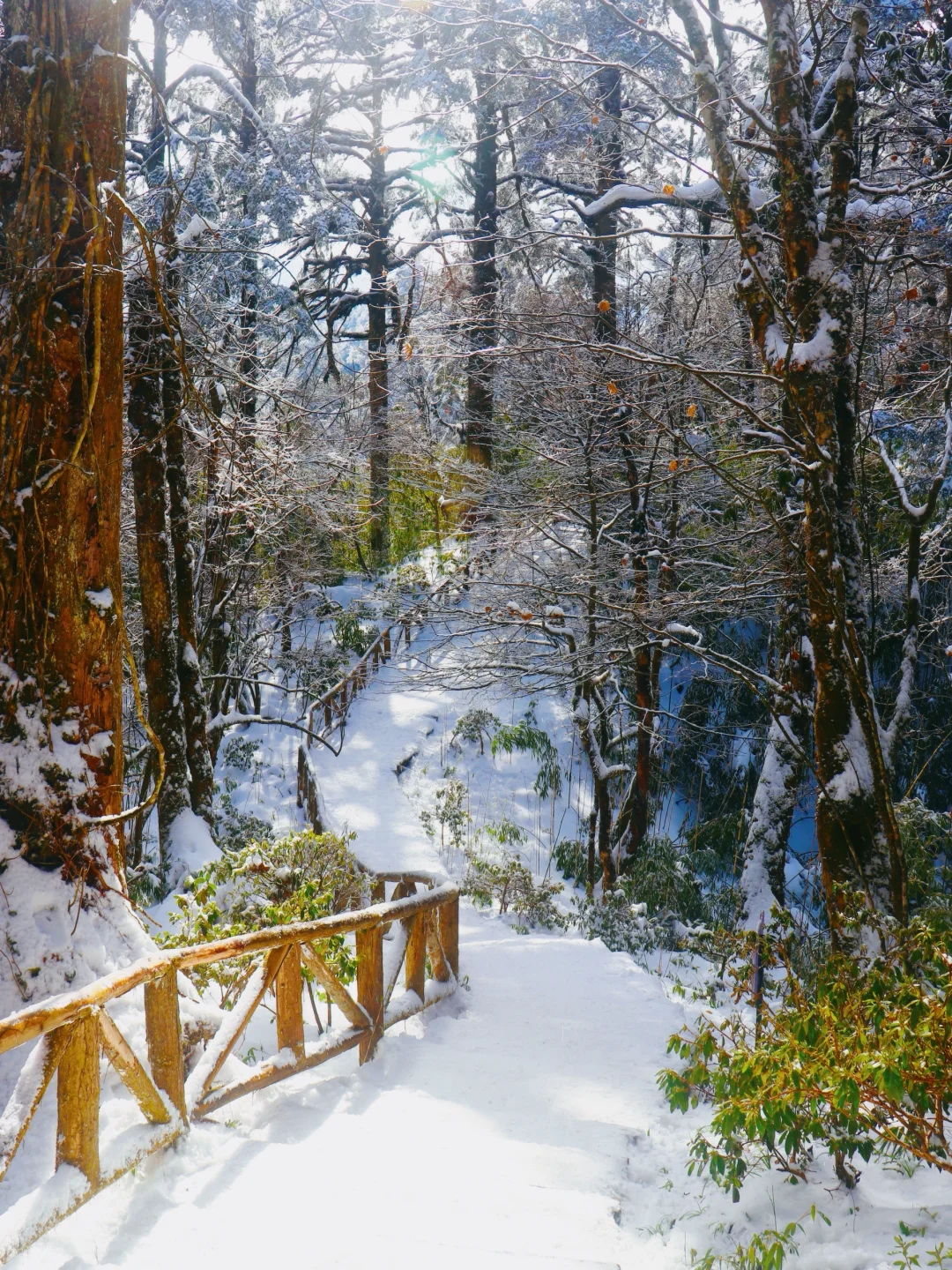 成都周边小众玩雪秘境！新年来这看第一场雪