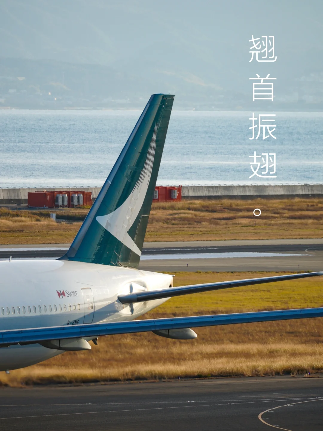 国泰航空「翘首振翅」logo，背后有高人指点❓