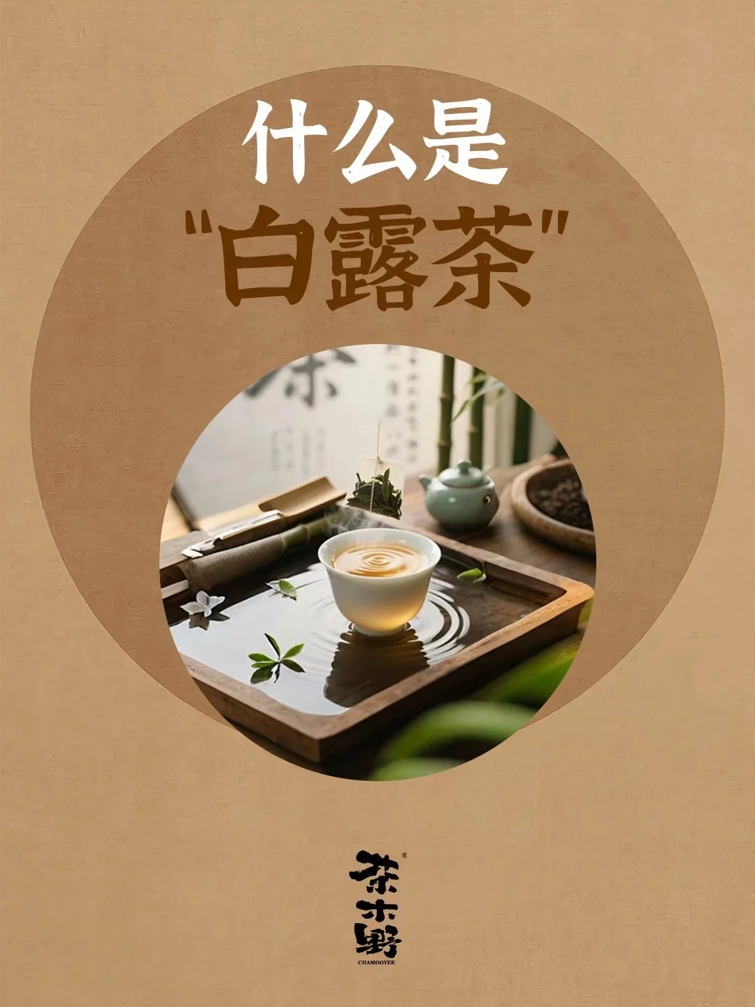 知识分享丨一分钟了解白露茶