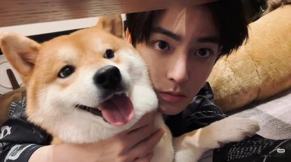 #侯明昊##侯明昊萧无衣# 🐱🐱🐶🐶 ​