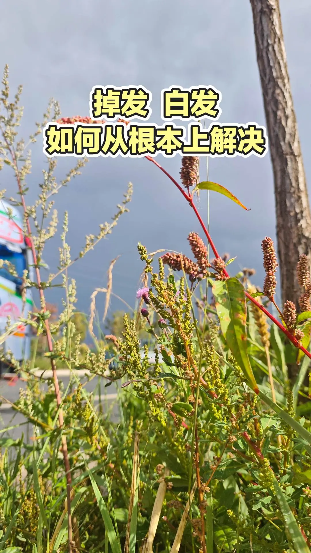 马刺还是太年轻了，关键失误&amp;绝杀不中，马刺主场再负尼克斯