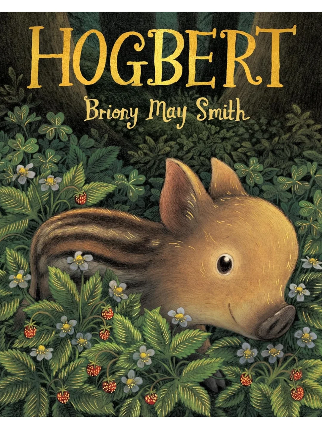 Briony May Smith | 小野猪的森林奇遇