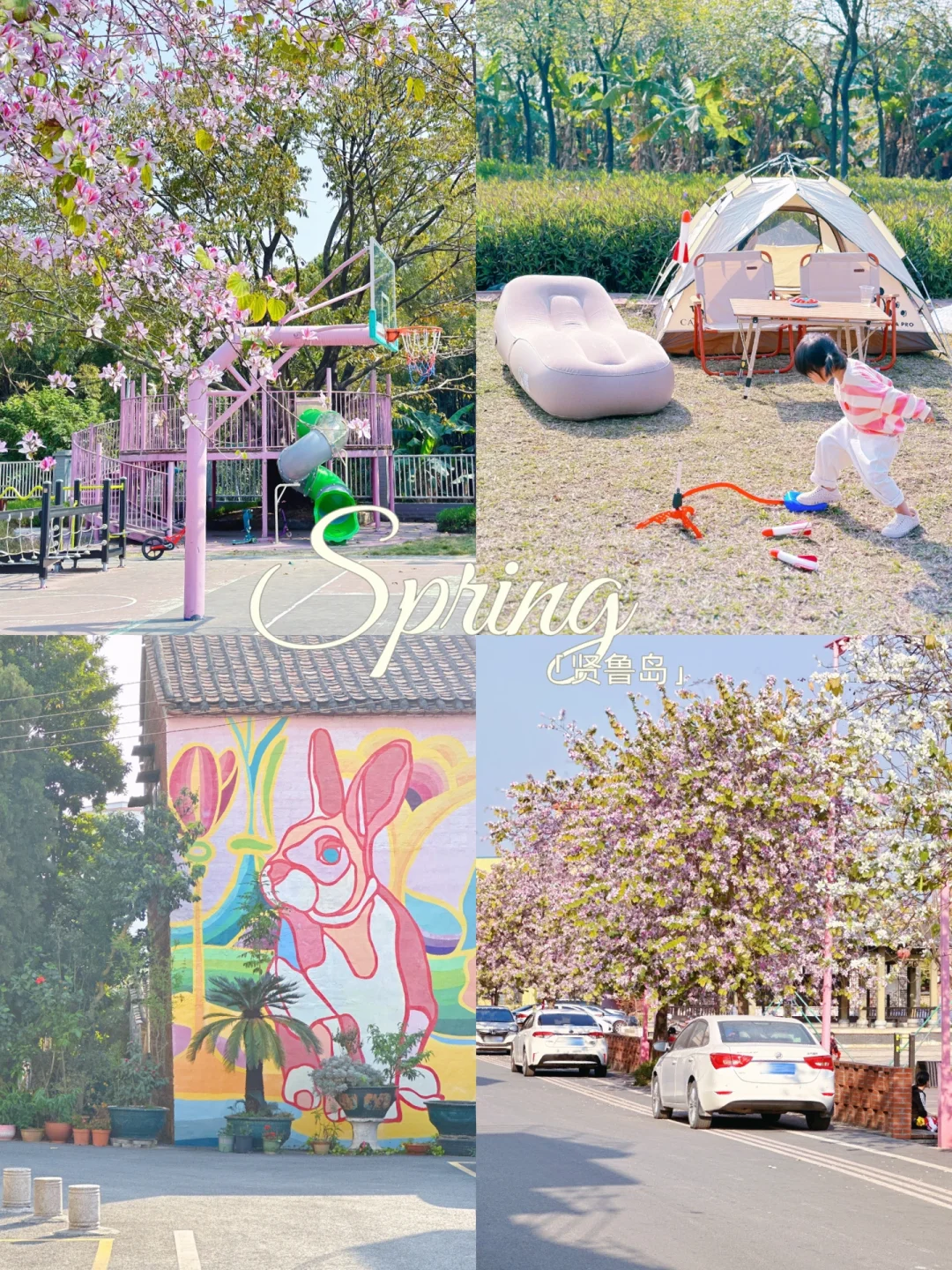 🏝️佛山宝藏原生态小岛｜遛娃露营踏春好去处