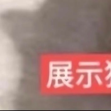 碧光环是番杏科多肉植物，休眠期后新芽形似兔耳，适合室内盆栽。以下是详细的栽培方法：

1 植株选择
选择株形健康、叶片饱满、无病虫害的植株。休眠期应选择茎球饱满硬实，生长期选择"兔耳"挺拔无损伤的植株。

2 栽培基质
使用疏松透气的沙质土壤。推荐配方：赤玉土3份、鹿沼土2份、珍珠岩2份、蛭石2 ​