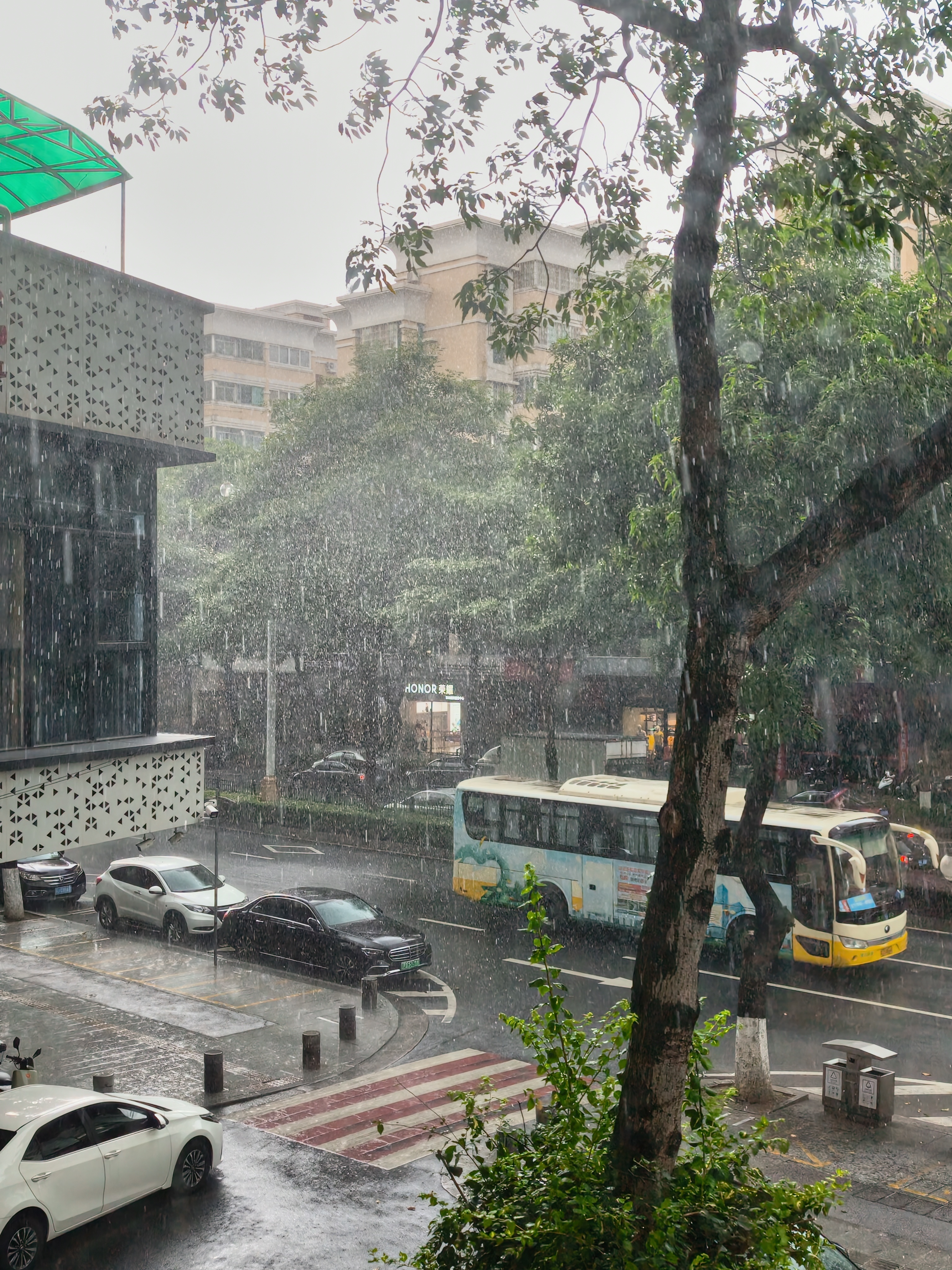 [超话]，这下一秒就是瓢泼大雨[二哈]来到真广东了[哈哈] ​​​