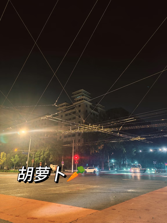 10.19今天反思的内容是眼前的胡萝卜。
