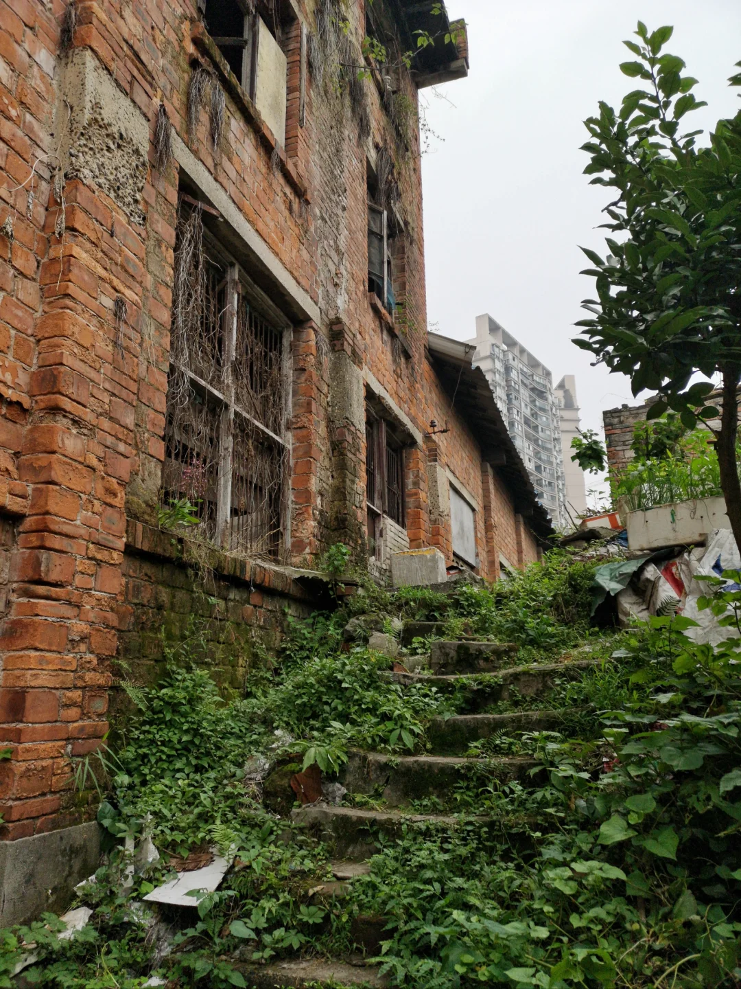 私人蔬菜摊农残超标吗(citywalk395)