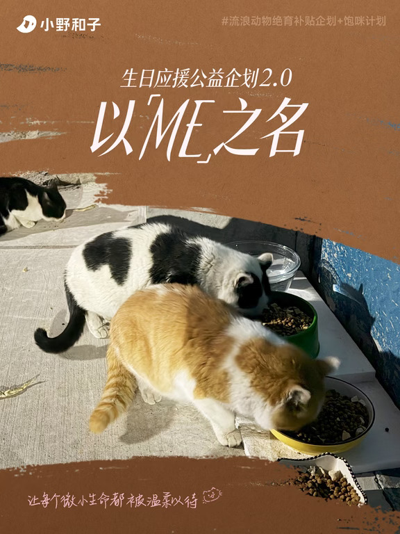 【以ME之名公益应援】让流浪不再蔓延