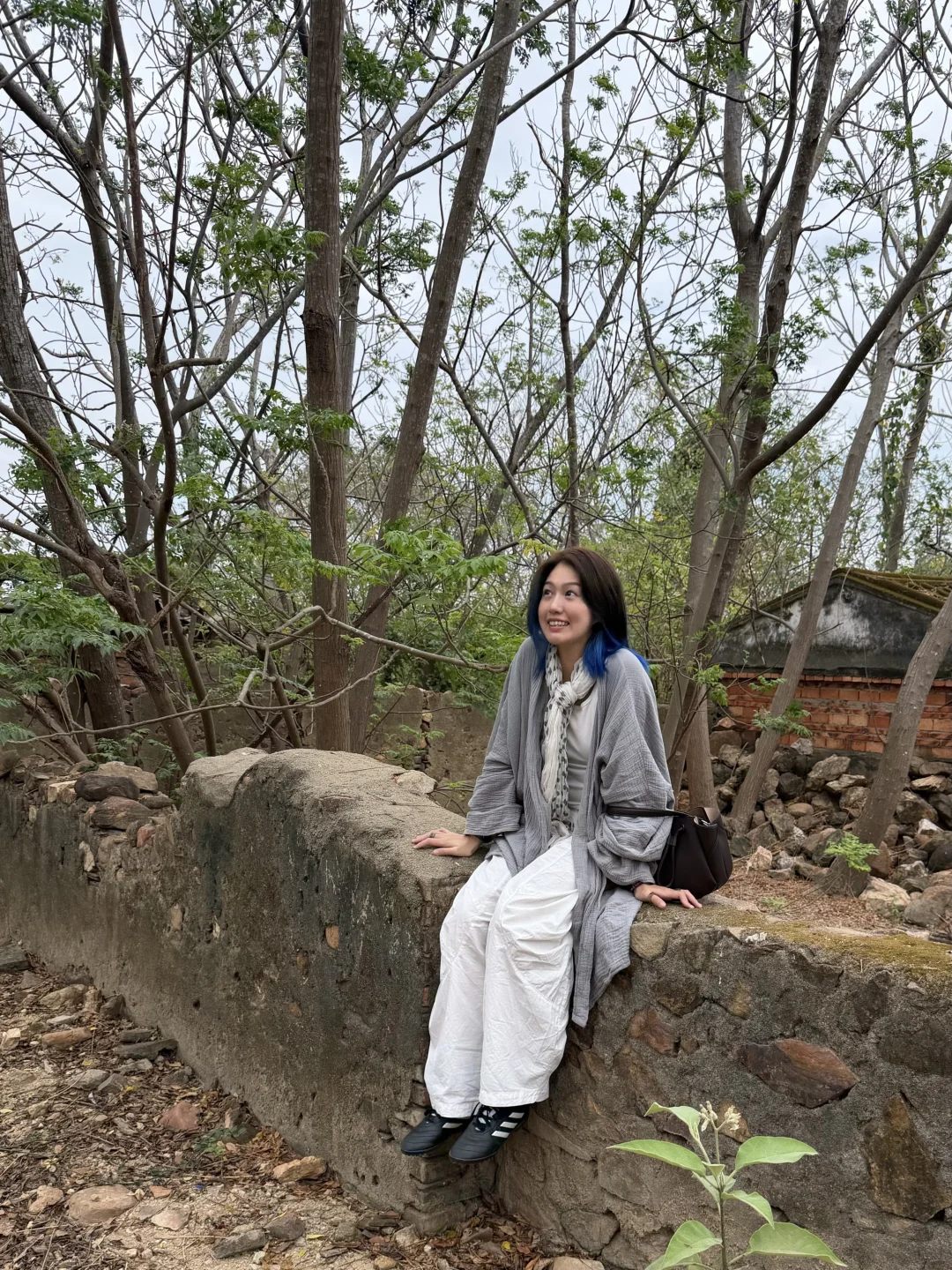 大年初二回村爬墙啦！🪺