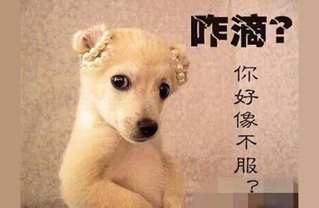 好男不跟女斗[吃瓜群众]渣男就是欠揍[奸笑]