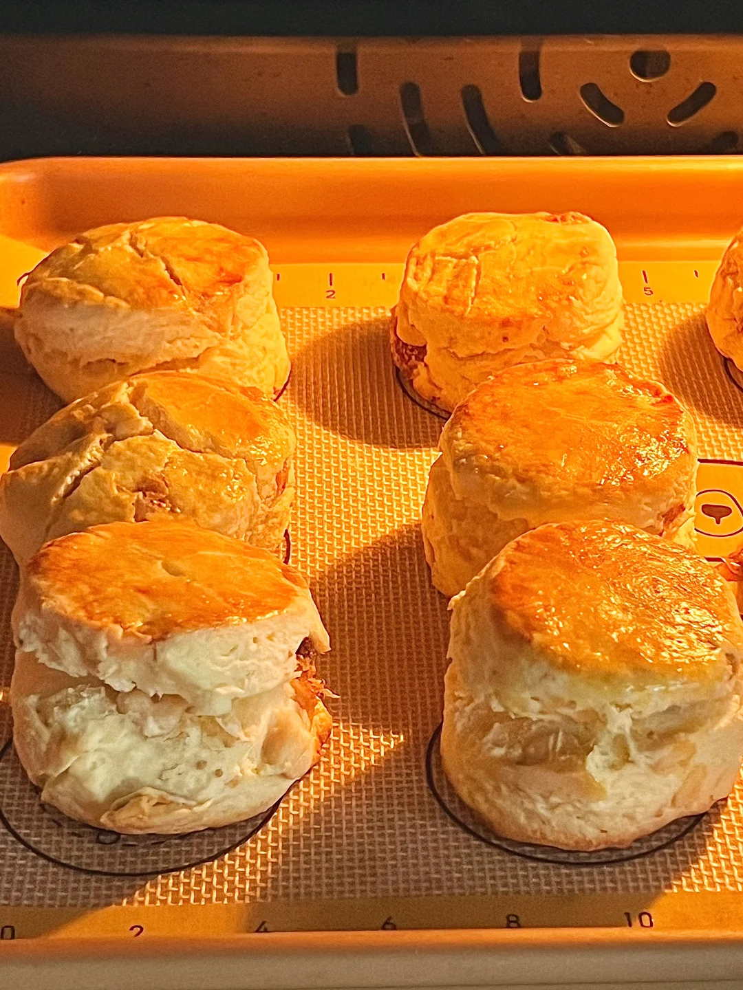 简单0失败！核桃无花果司康